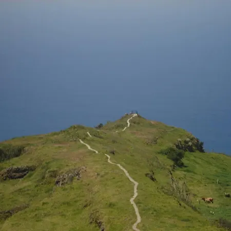 Bougainvillea House *