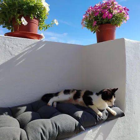 度假居 Bougainvillea House