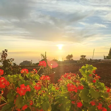 Bougainvillea House 蓬塔杜帕戈