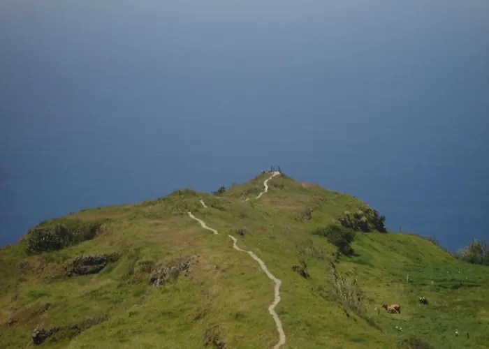 Bougainvillea House *